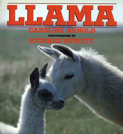 Llama