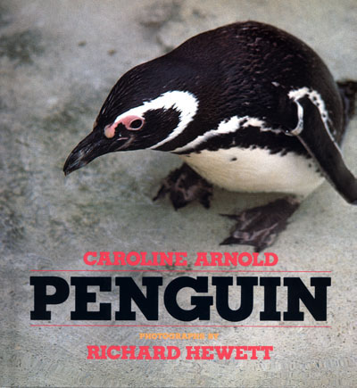 Penguin