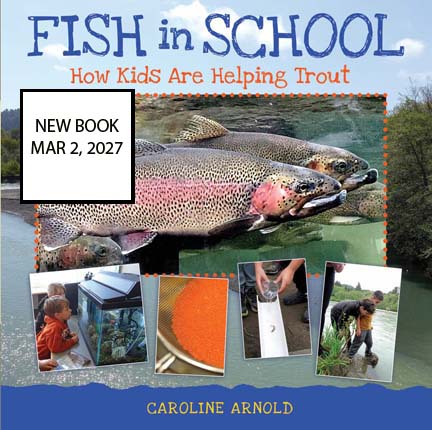 Fish In School cover